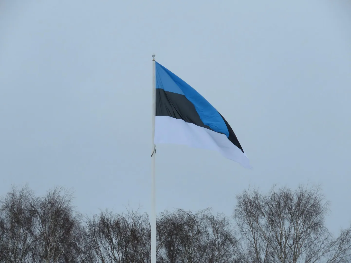 30. jaanuaril tähistatakse Eesti kirjanduse päeva ja ühtlasi on see lipupäev.