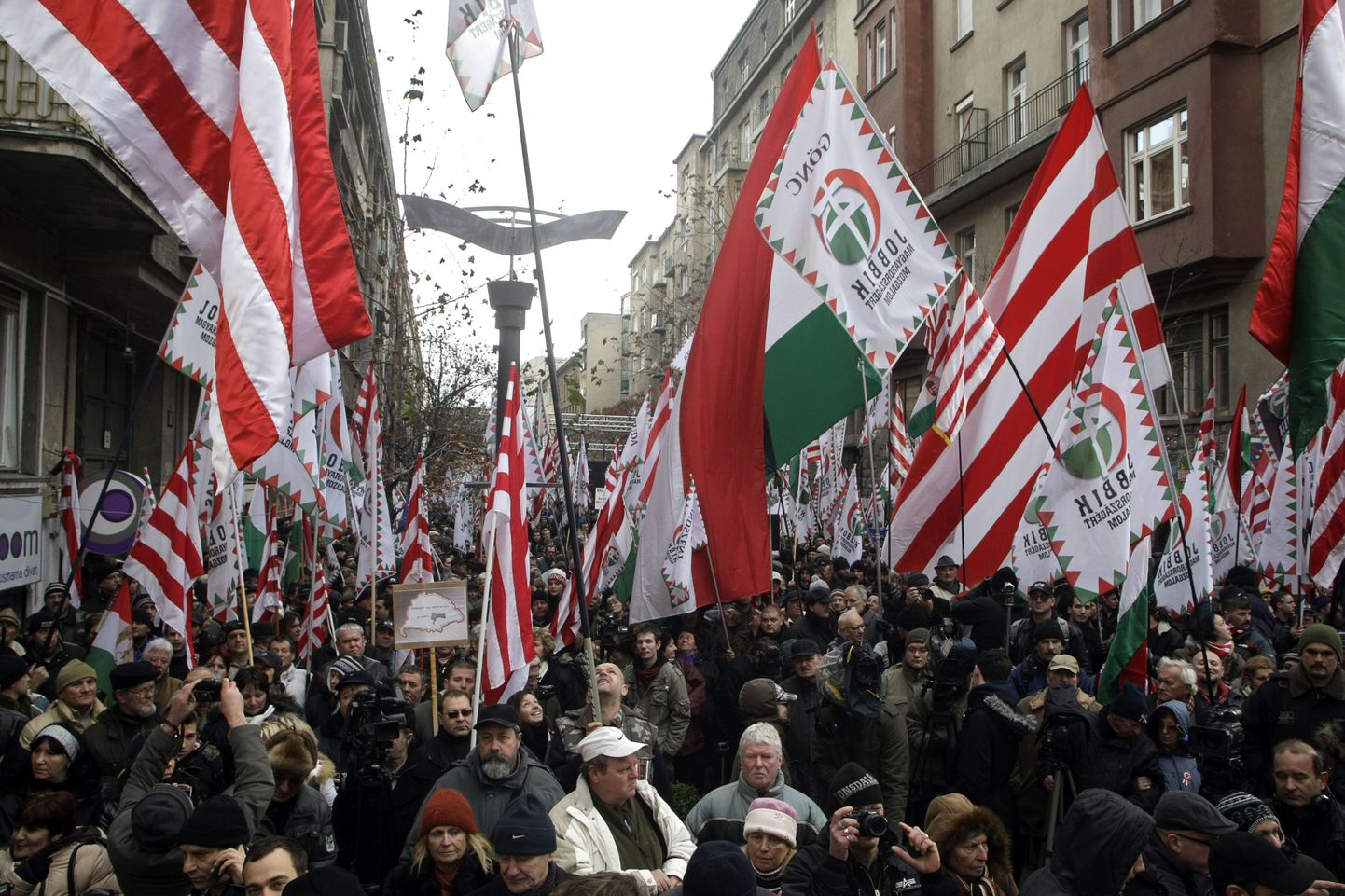Акция протеста против членства Венгрии в Европейском союзе (14 января).