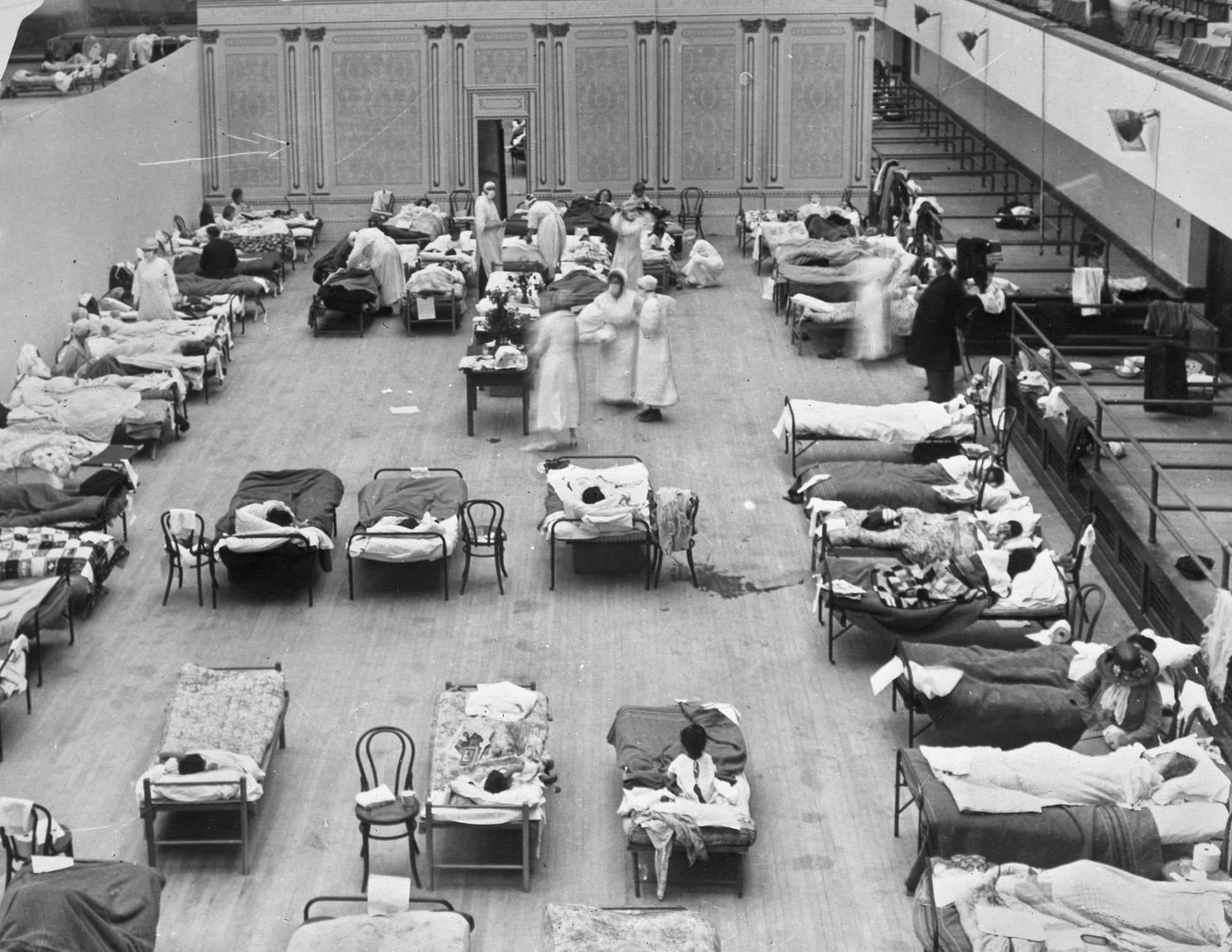 Сотрудники Красного Креста лечат инфицированных в школе Окленда.