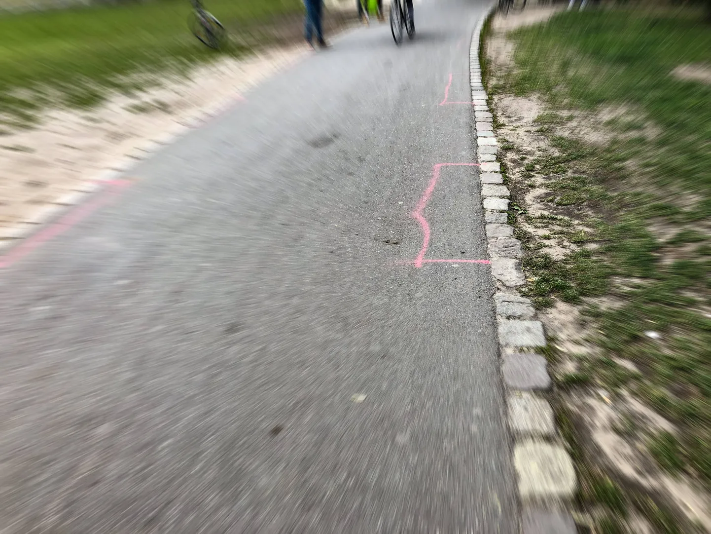 Roosa värviga märgistatud müügitsoonid Görlitzeri pargis.