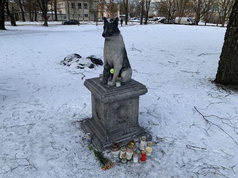 Памятник псу Жорику, 18.01.2022