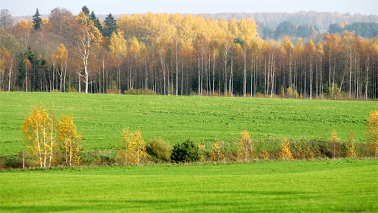 Фото статьи