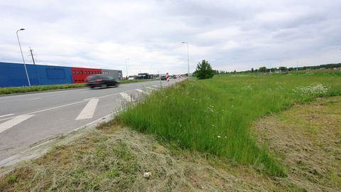 Töömehed niitsid teadmatusest maha lilleõites aasad