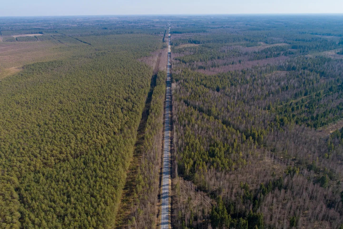 Kõpu–Jõesuu maantee eraldab kaitsealust ala ja majandatavat metsa.