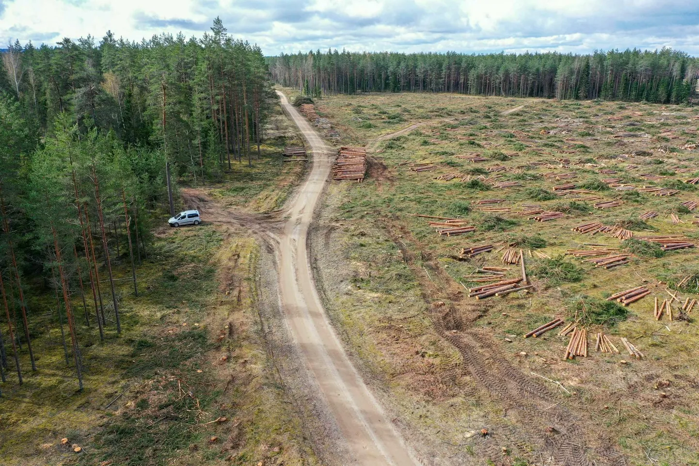 Nursipalu harjutusvälja planeeritav laiendusala.