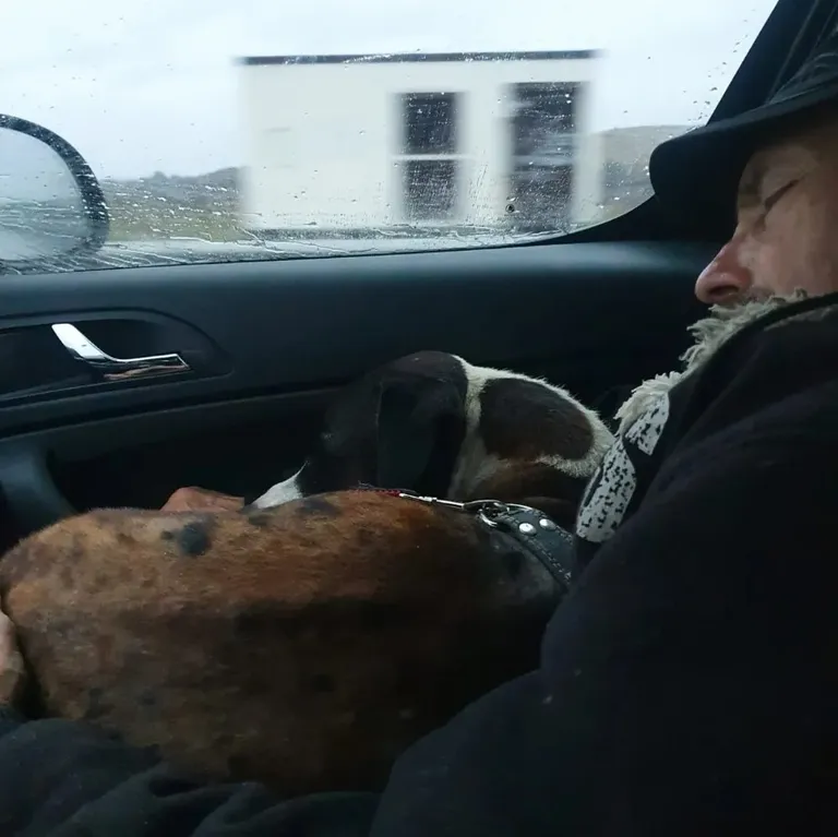Дедушка и его питбуль.