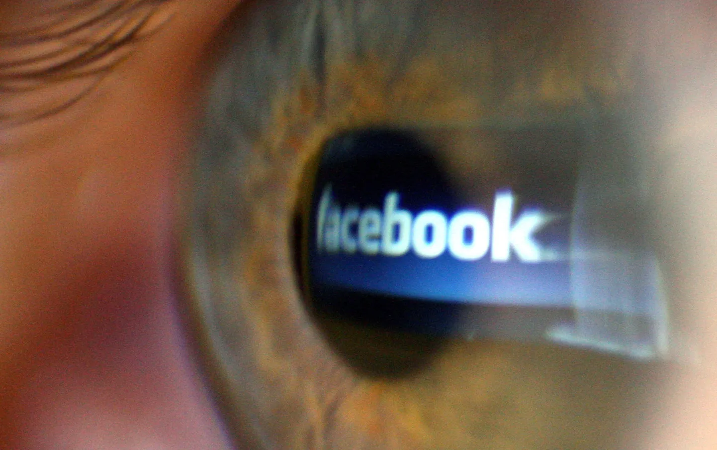 Facebook oli oma algusaastatel mitmel korral müügis, kuid väärilisi ostjaid ei leidunud.