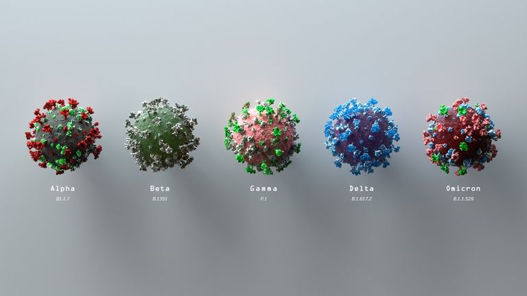 Разновидности коронавируса