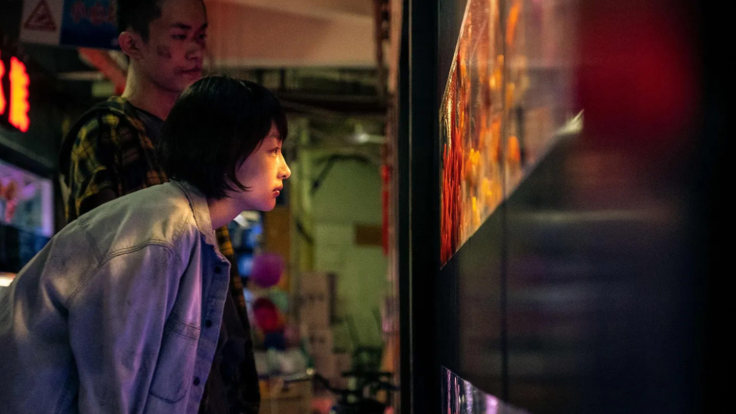 Ainsad hetked, mil Nian (Dongyu Zhou) ei tunne end ohustatuna, on need, mida ta jagab Beiga (Jackson Yee) filmis «Paremad päevad».