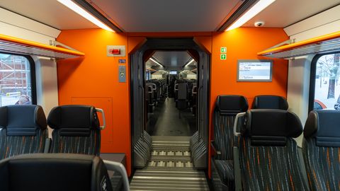 Puppy Dispute on Elron Train Escalates, Prompting Security and Police Intervention