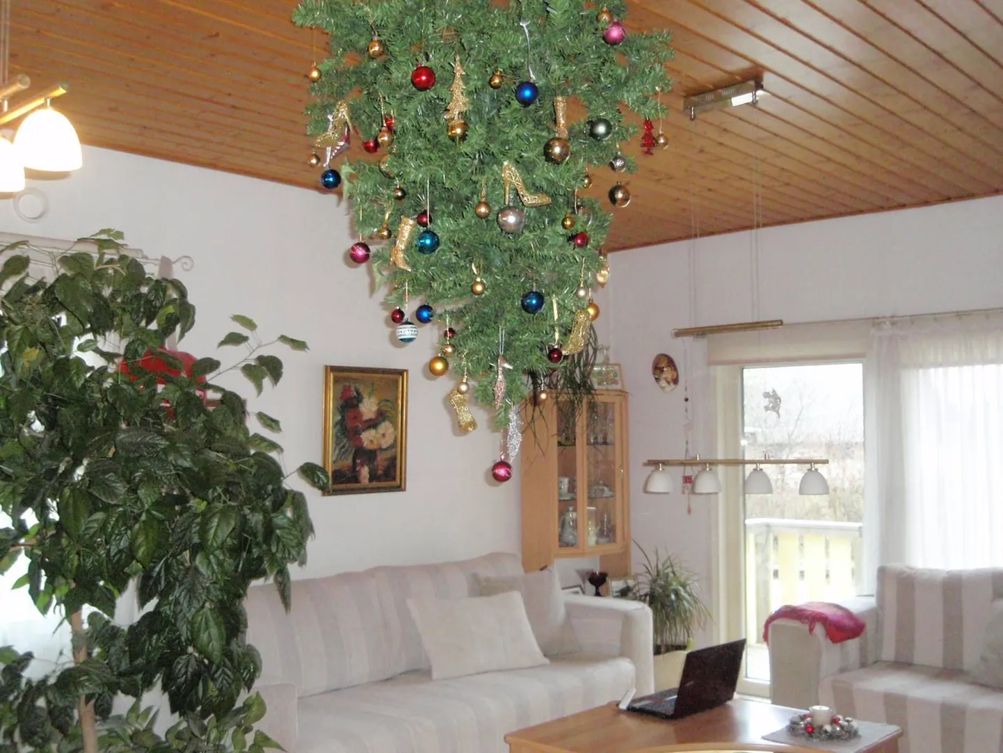 Kuuse võib riputada ka lakke.