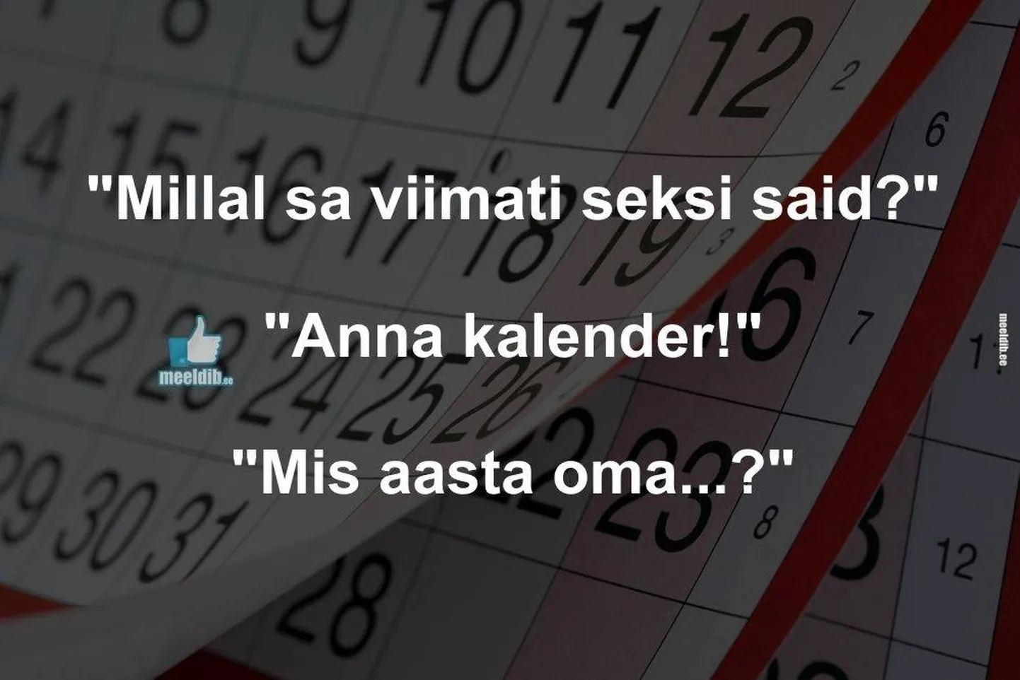 Artikli foto