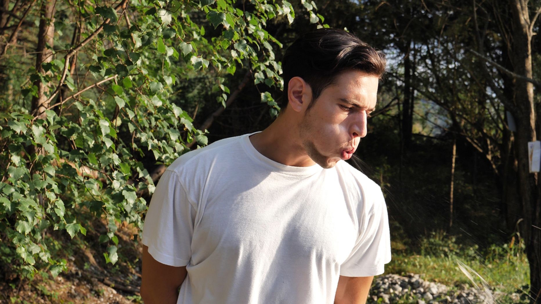 Pilt on illustreeriv.