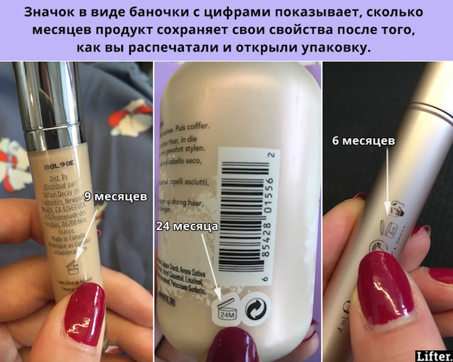 Фото статьи