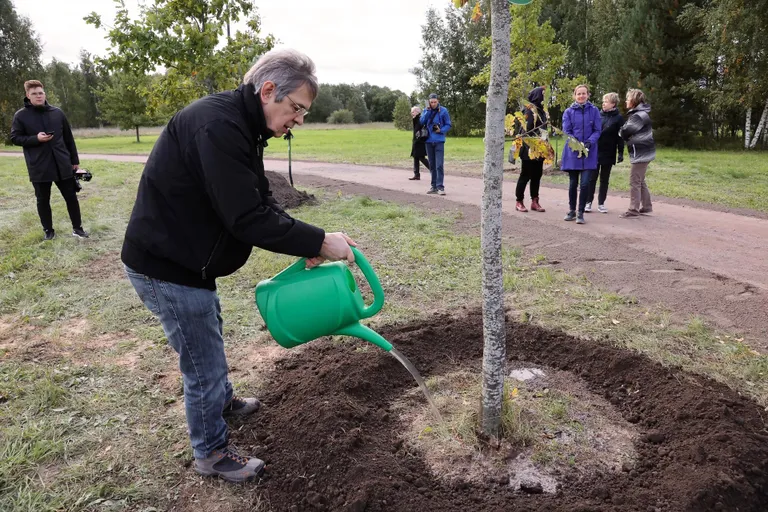 Tartu 2020. aasta ja 2021. aasta aukodanikud istutasid tammesid.