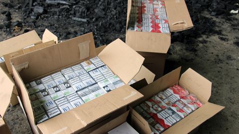 Таможня в первом квартале обнаружила более 1,3 миллиона контрабандных сигарет