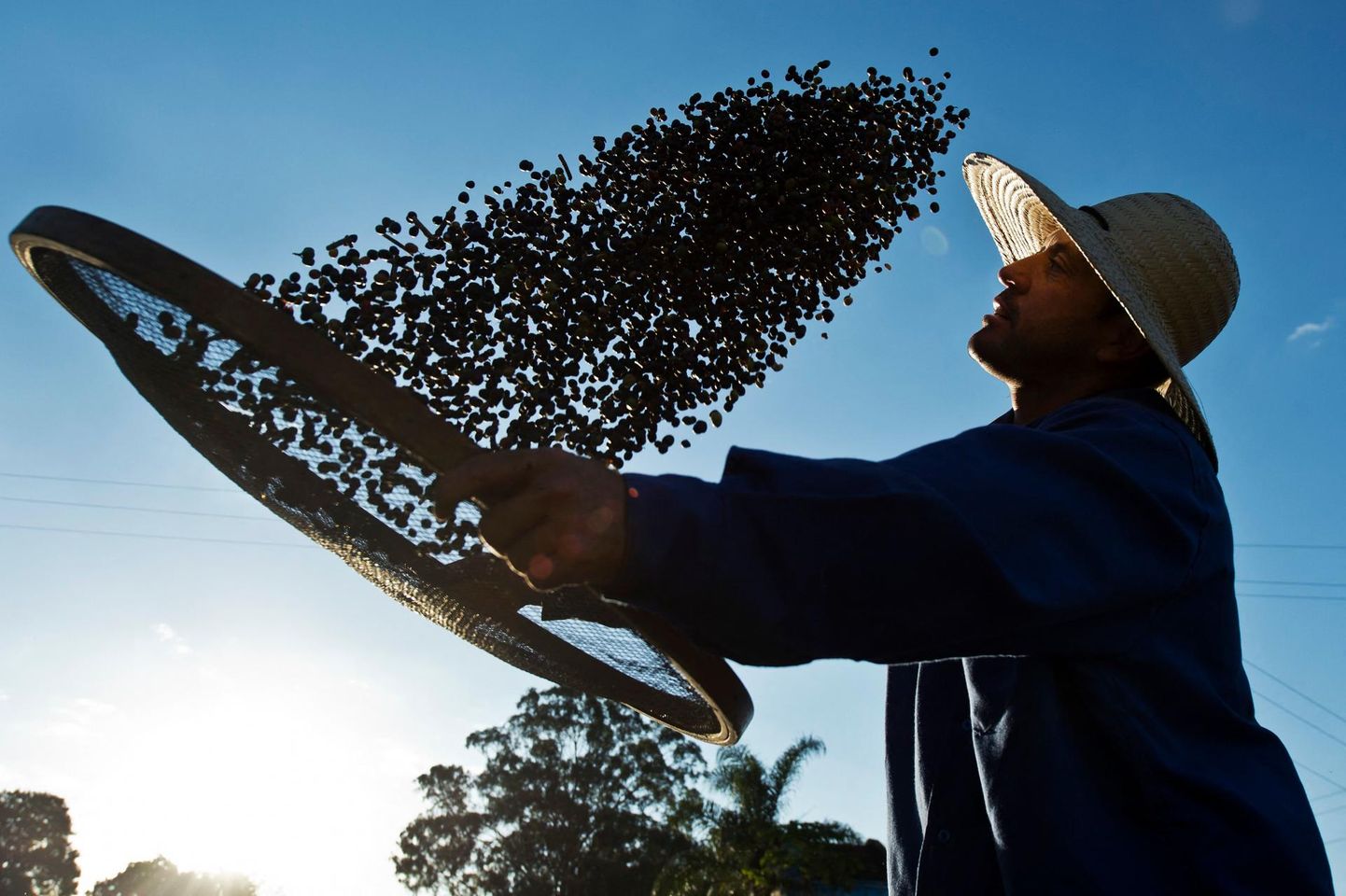 Kohvi kallinemise peamine põhjus peitub Lõuna-Ameerika ekstreemsetes ilmaoludes. Brasiilias mullu kevadel põud, millele juunis-juulis järgnes viimase 25 aasta suurim külmalaine.
 