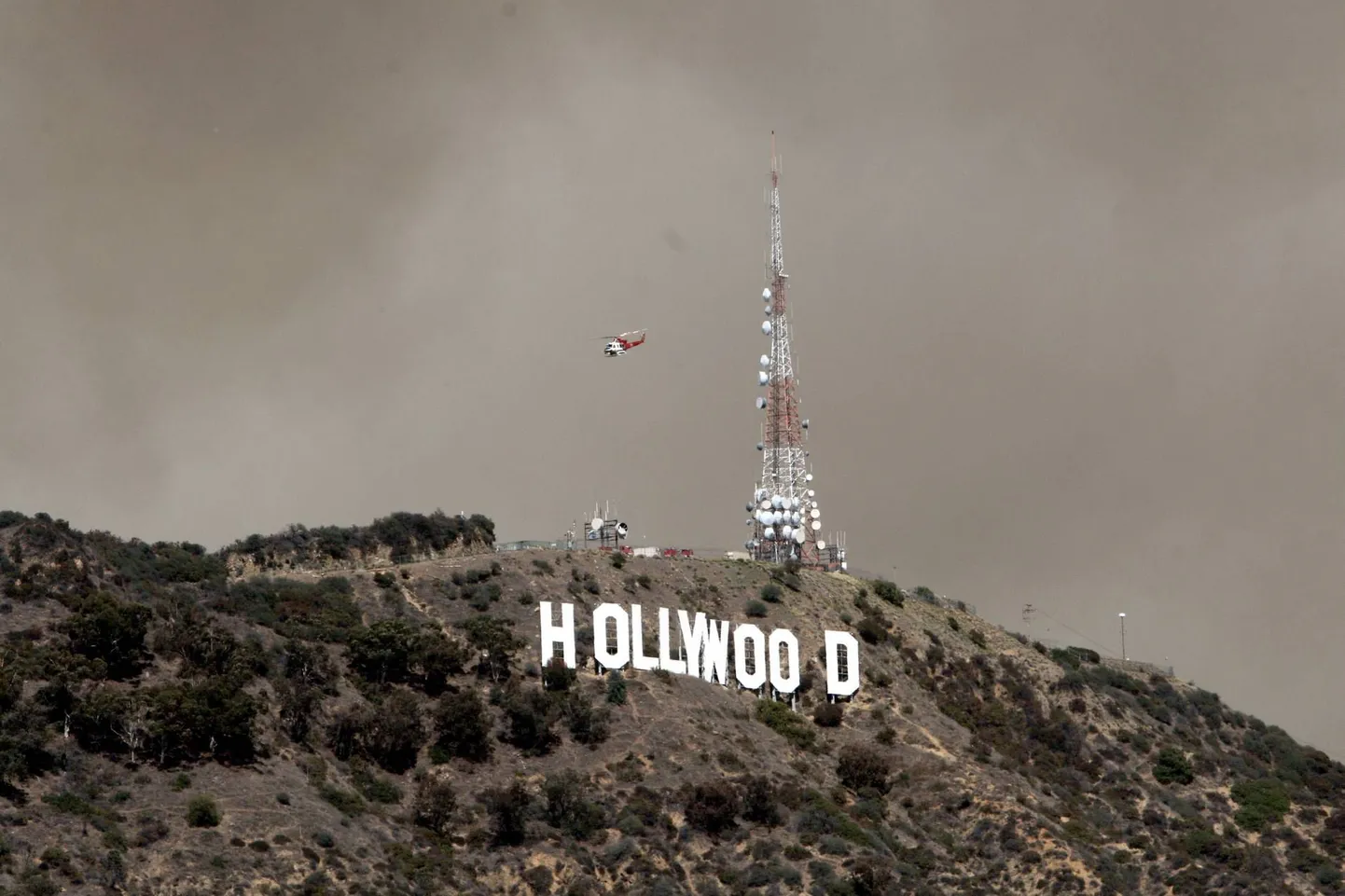 Hollywoodi logo