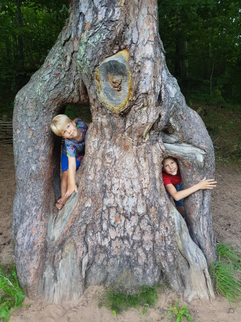 Raksta foto
