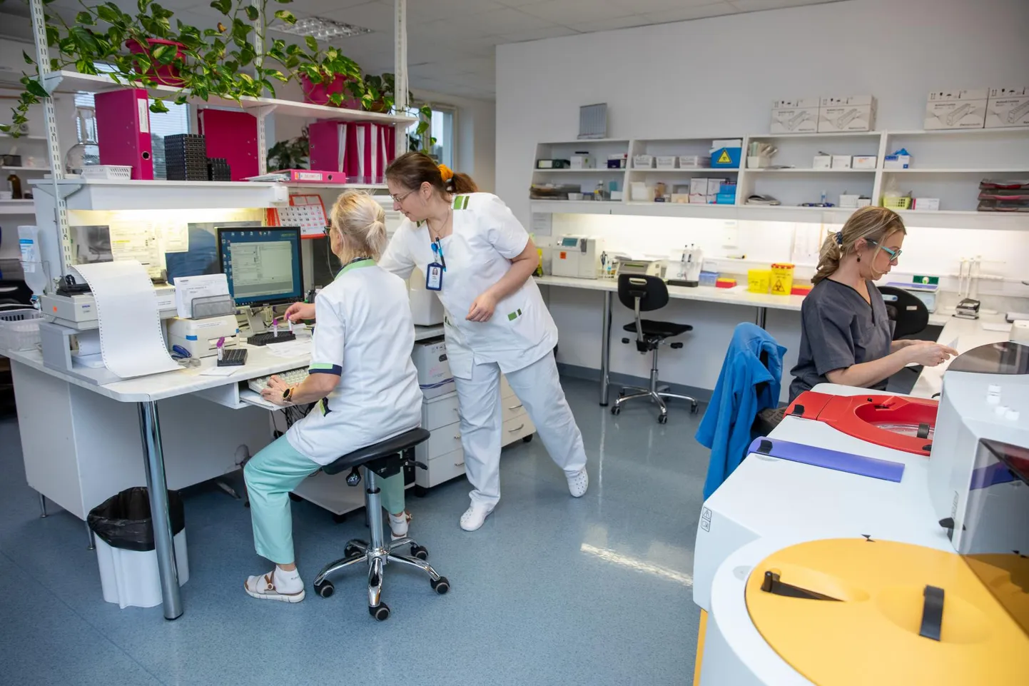 Pikema sõpruse päeva raames oma tervist kontrollida lasknud Rakvere linnavolikogu mitme meesliikme näitajaid uurisid Rakvere haigla laboriarstid.