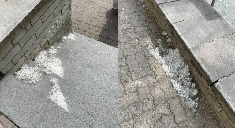 Artikli foto