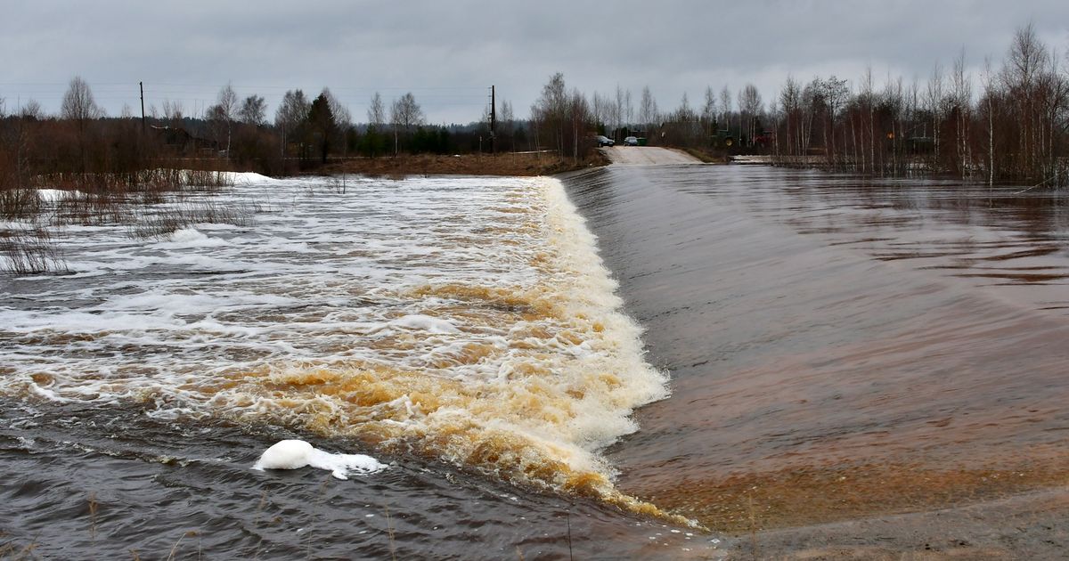 Jēkabpils plūdi 2023 - Apollo.lv - Cilvēks ziņās