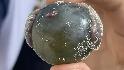 Maailma suurim ainurakne organism, kes võib kasvada inimese silmamuna suuruseks