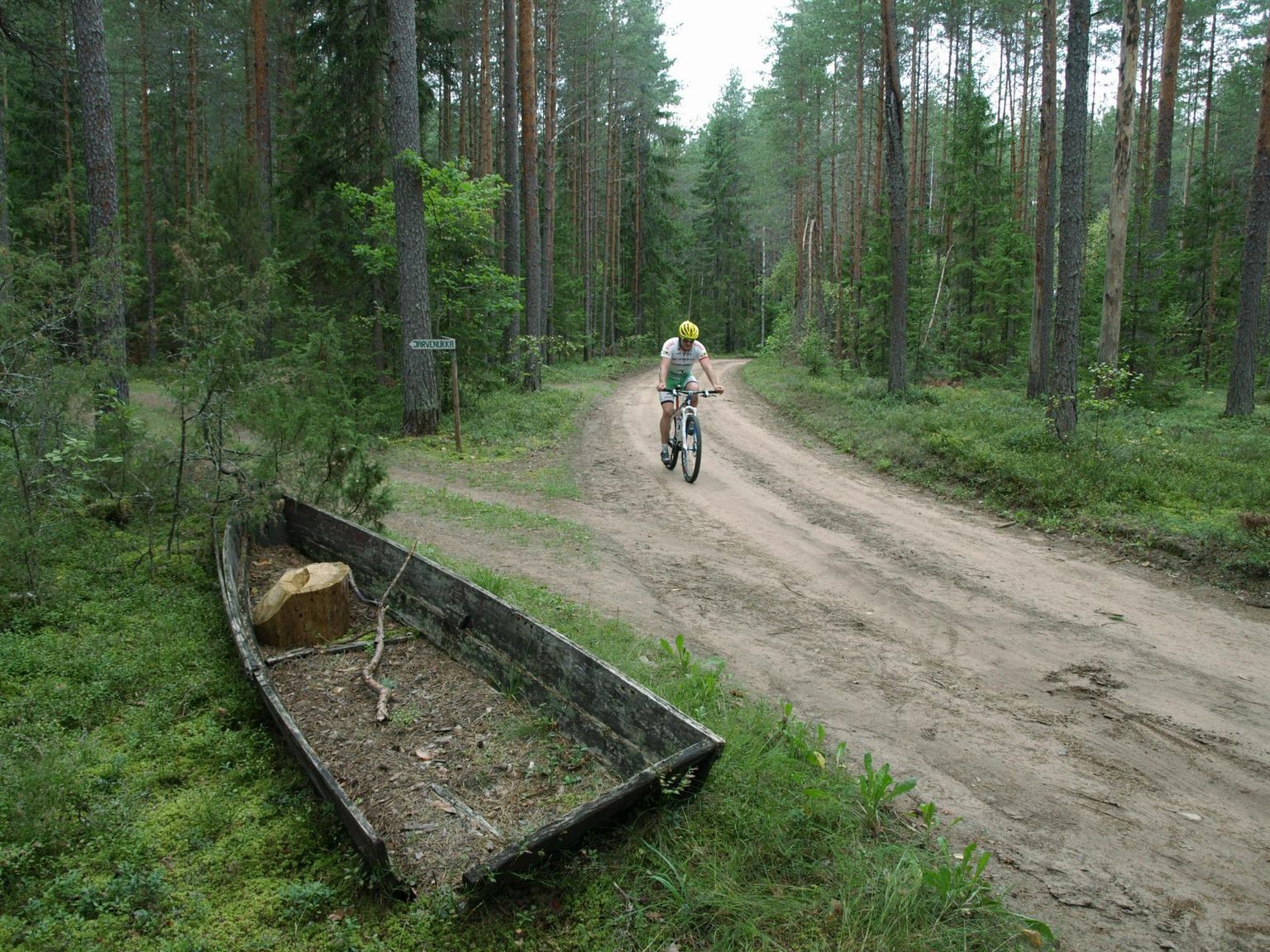 Aegviidu-Ähijärve matkatee. Pildil matkarada Karula rahvuspargis.
 