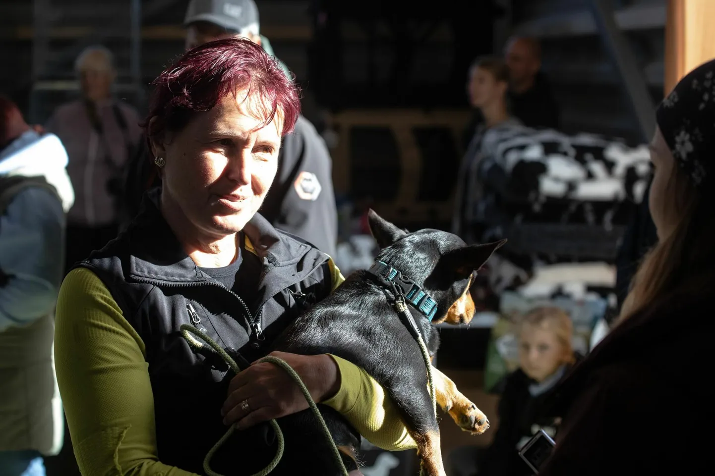 Lancashire'i heeler Süsse koos perenaise Maarja Paimiga.