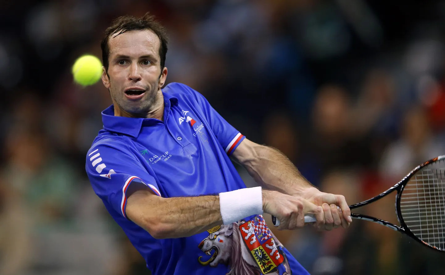 Radek Stepanek.
