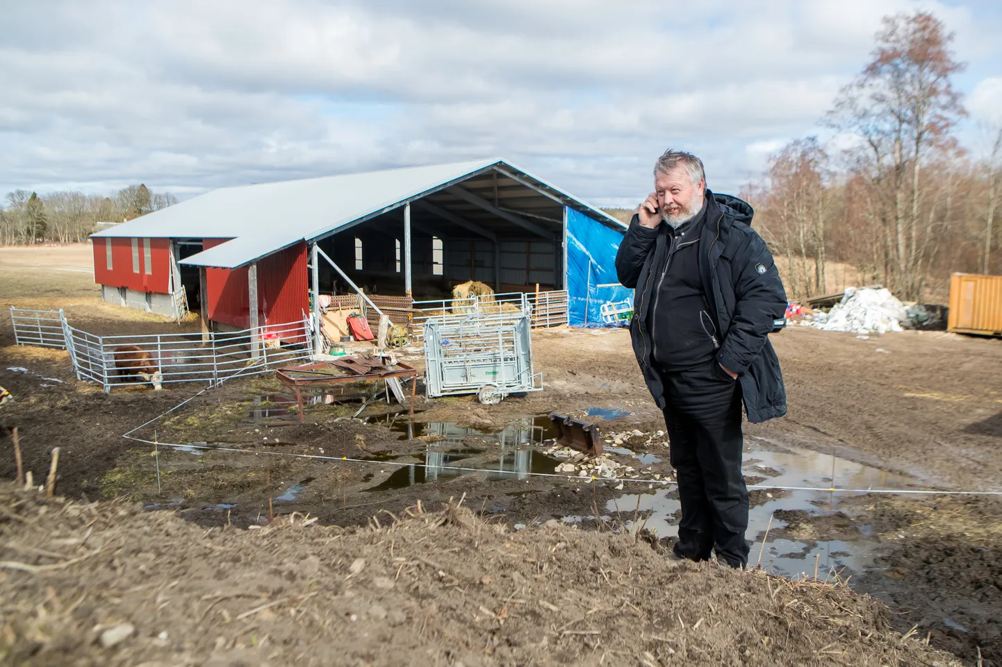 TÄHTSAM KUI RAHA: Kalev Au võttis kopsaka pangalaenu, et loomad ei peaks enam kõhuni poris sumpama.