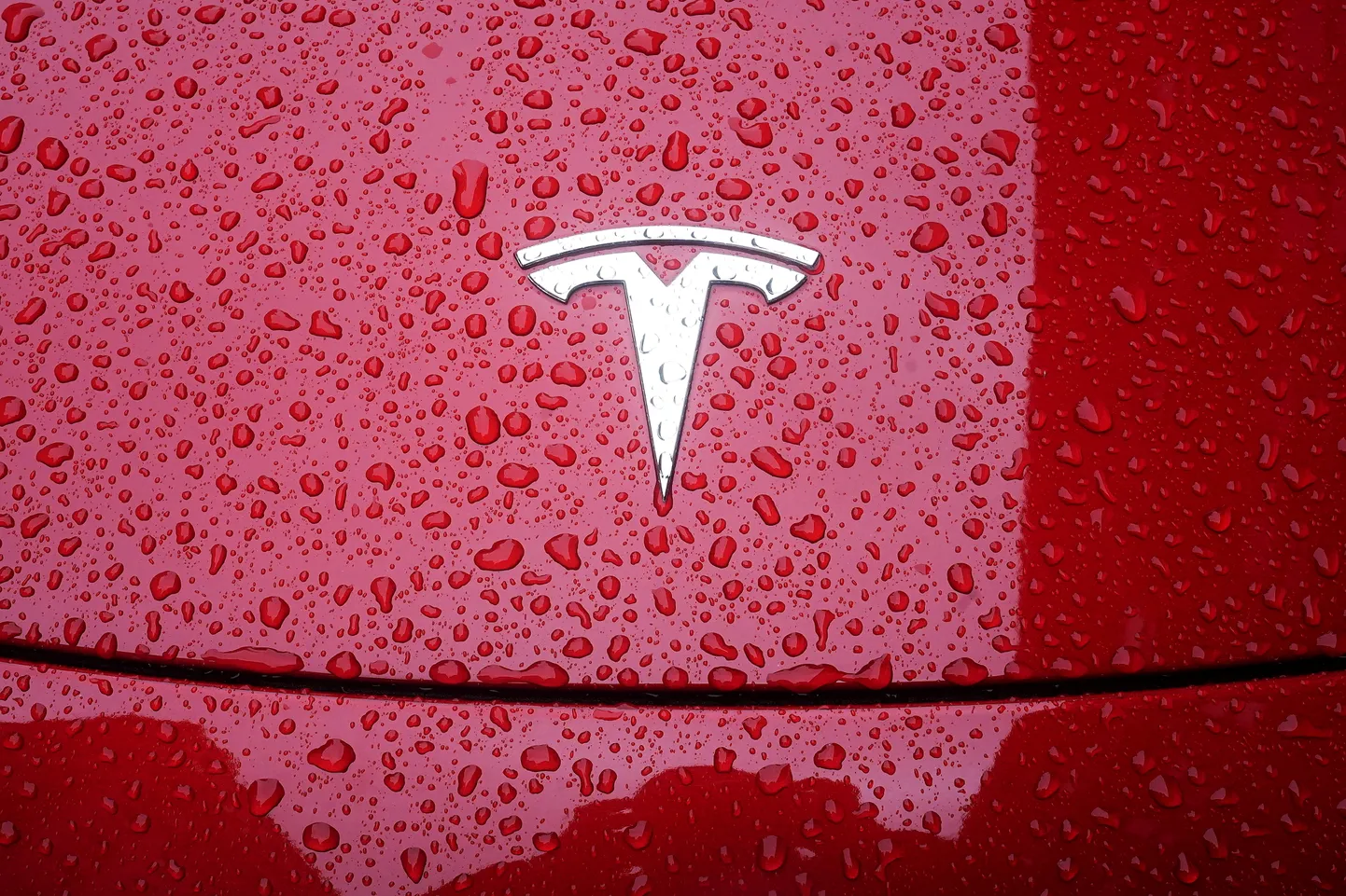 Tesla logo.