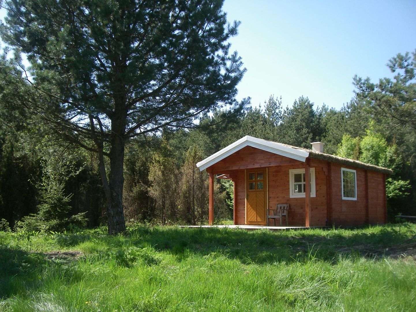 Saunafestivali raames saab külastada Metsamajakese sauna.