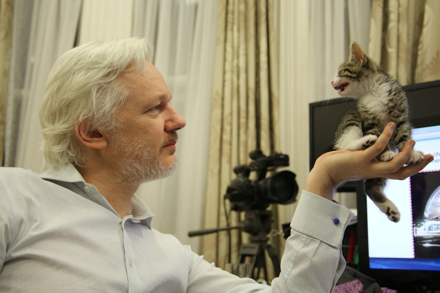 Ecuadori saatkonna töötajaid häirib ka see, et Julian Assange ei korista oma kassi järelt. 