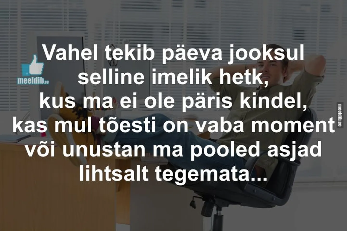 Artikli foto