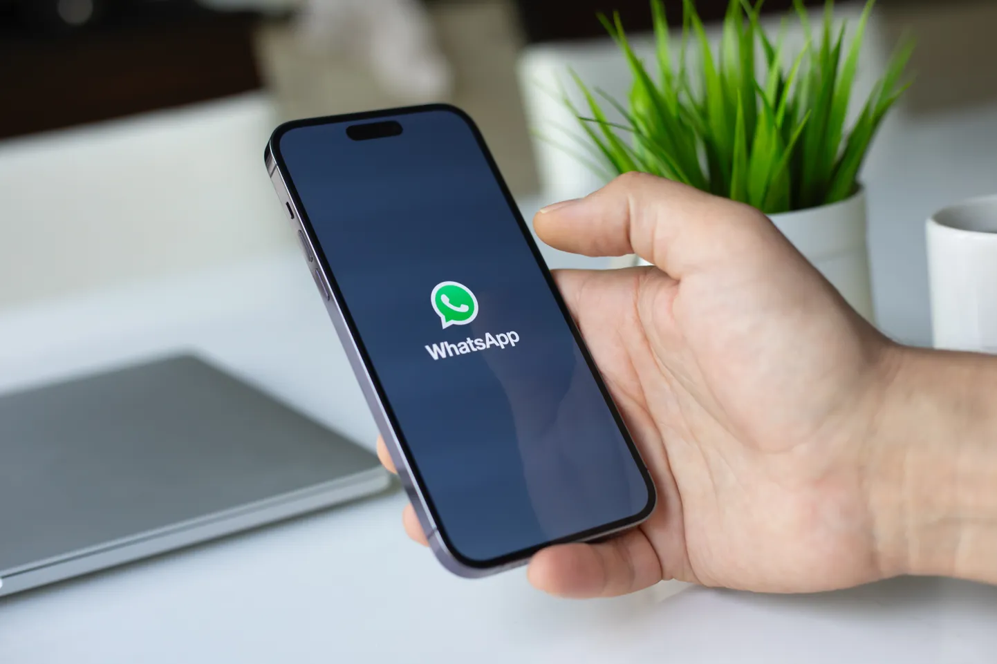 WhatsApp. Иллюстративное фото