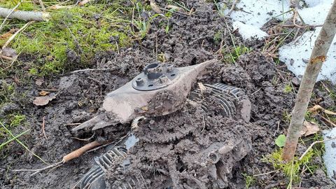 Советник президента Украины: падение дронов в странах Балтии может быть провокацией РФ