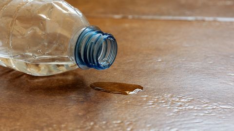 ÜLLATAV ⟩ Miks soovitavad lennusaatjad hotellituppa jõudes veepudeli voodi alla veeretada?