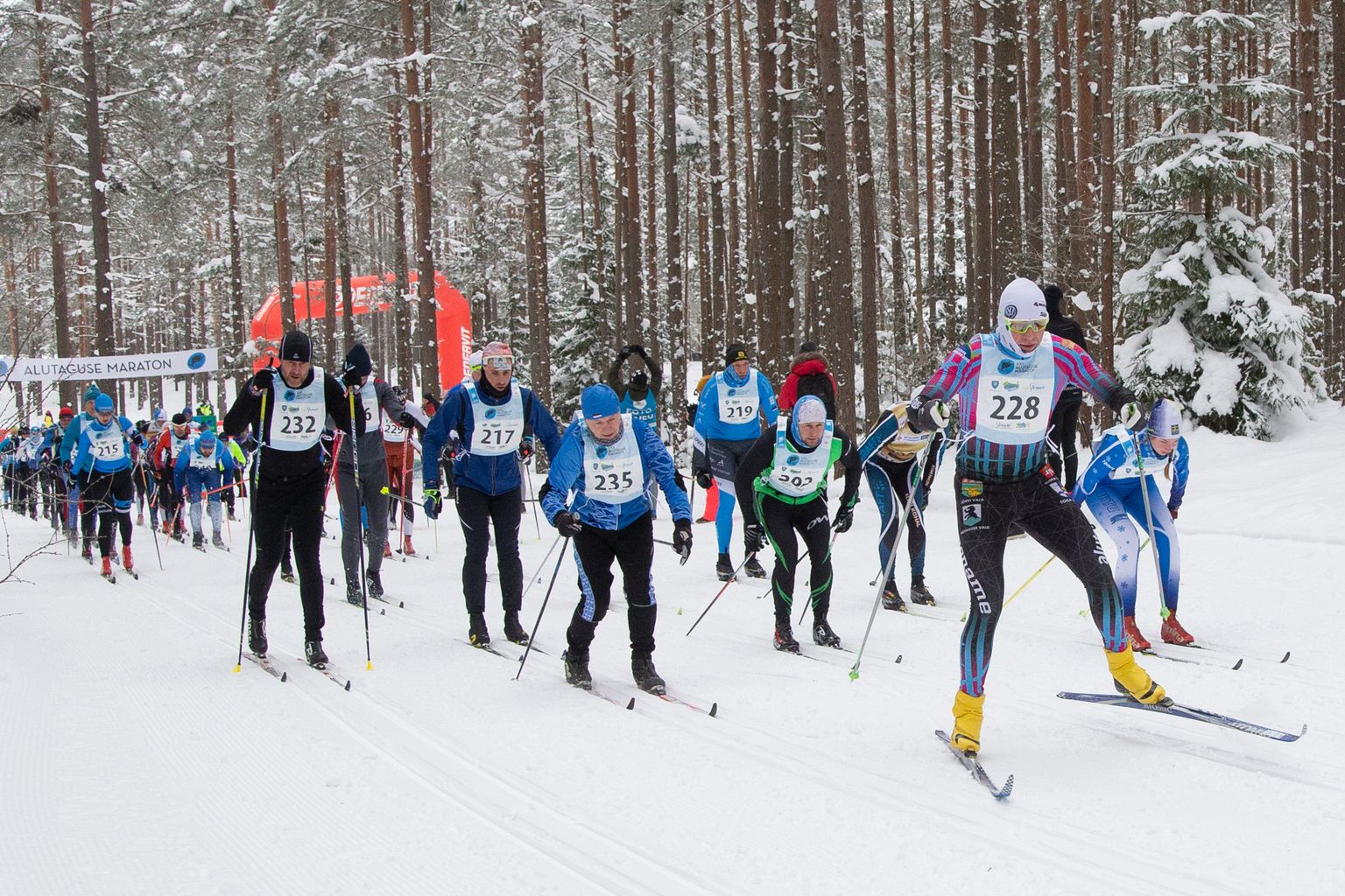 Этапы серии лыжных вечеров - хорошая возможность для любителей набрать форму к проходящему 12 февраля Алутагузескому марафону.