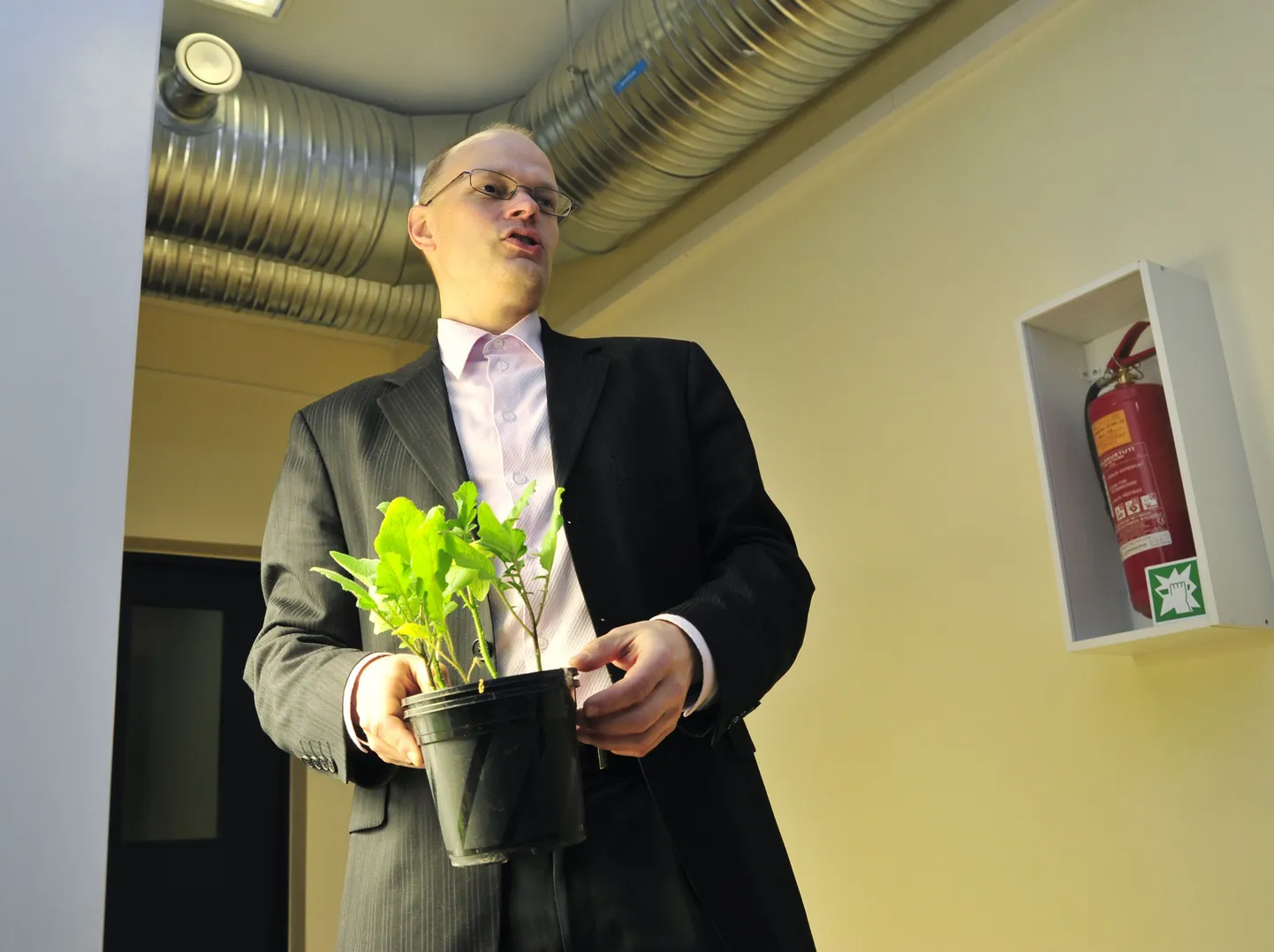 Eesti Maaülikooli taimefüsioloogia professor Ülo Niinemets.