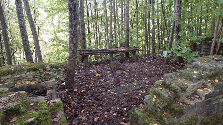 Скамейка в лесу.