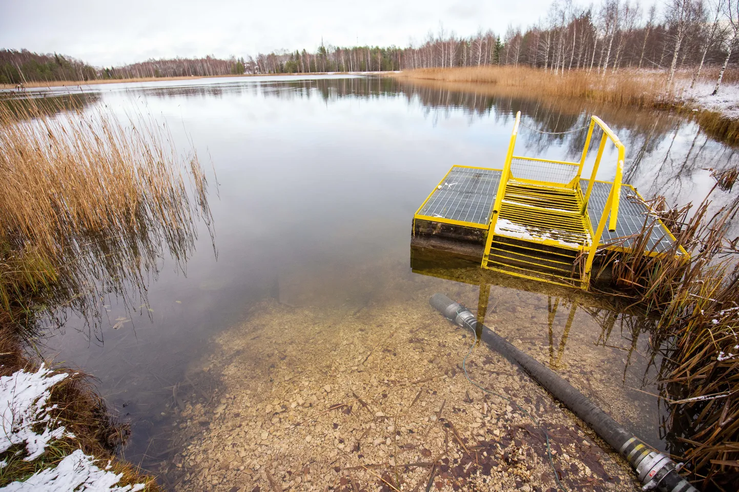 Järva-Jaan tehisjärve ümbrus ootab uuendamist ning selleks kutsutakse inimesi arutelule.