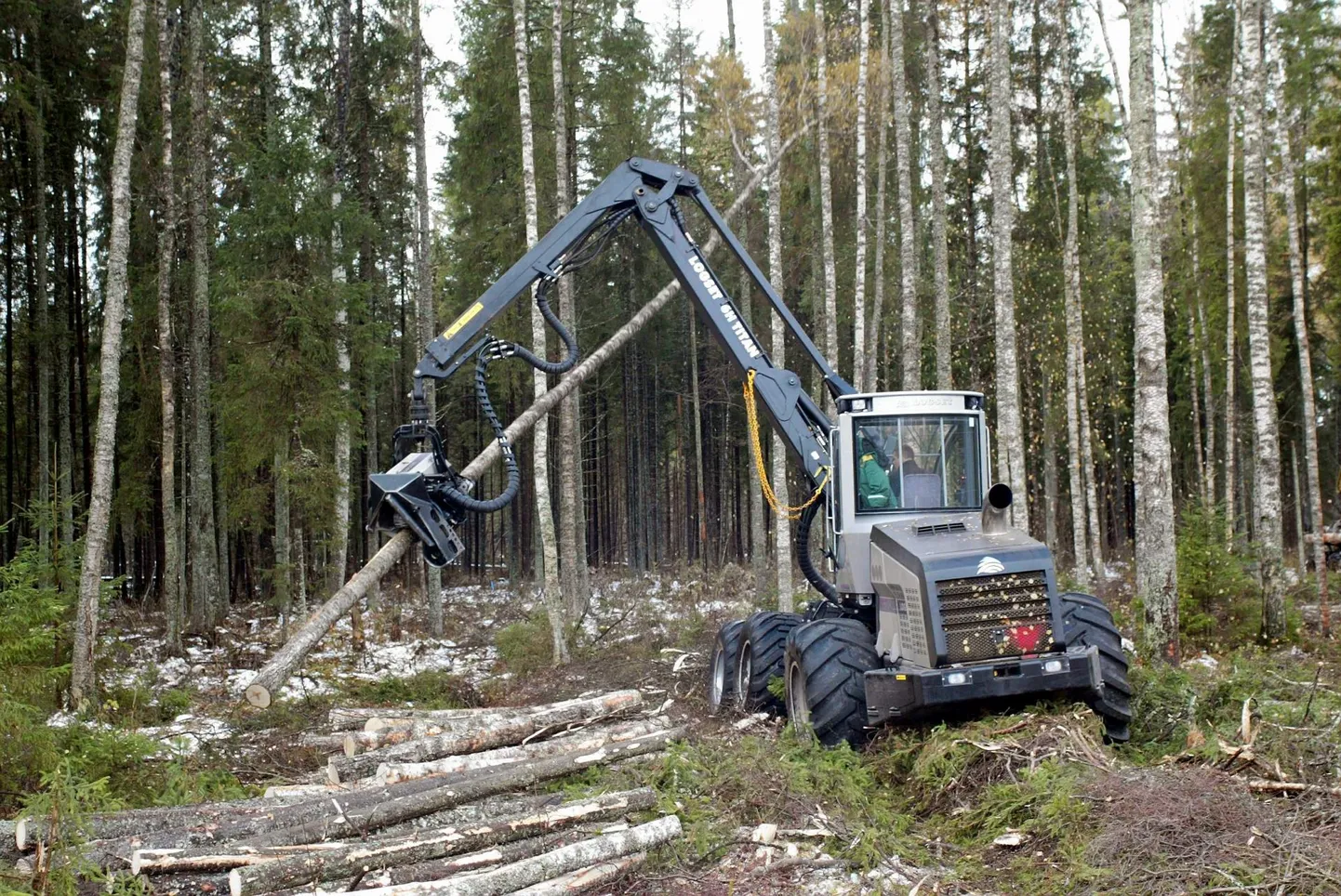 Teiste hulgas leiab Pärnumaal tööd metsatööline.