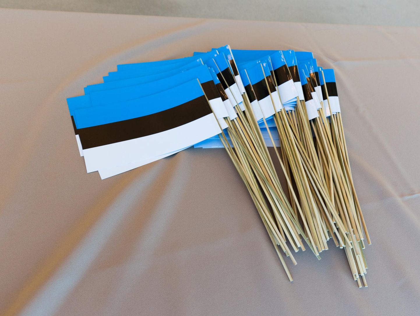 Eesti taasiseseisvumisest möödub reedel kolm aastakümmet.
