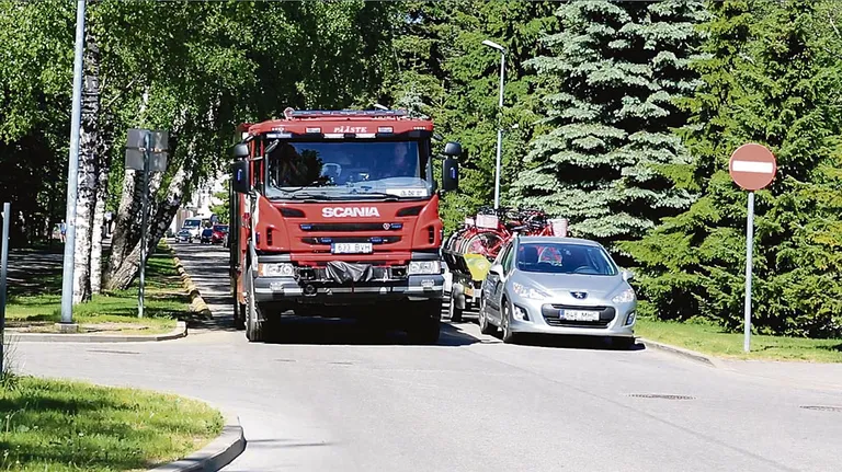 Väikese autoga Ranna puiesteel sõites ei märkagi, et üks kask kasvab risti üle sõidutee. Puu ja parkivate autode vahelt­ läbipugemisega on sealkandis väljakutsel käies alati tükk ­tegemist.