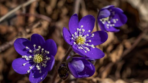 NÄDALAPROGNOOS ⟩ Nädalalõpp võib tulla päris raputav: oleme läbimas olulist üleminekut