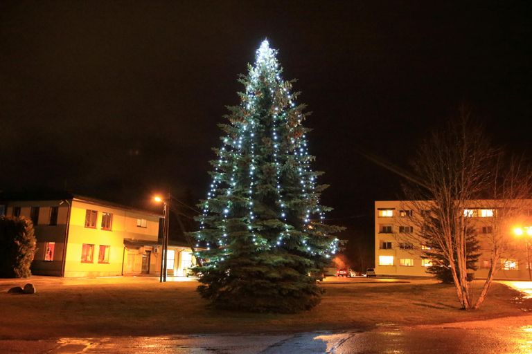 Nõo jõulupuu on ehitud Kivi tänaval Krõlli lasteaia juures.