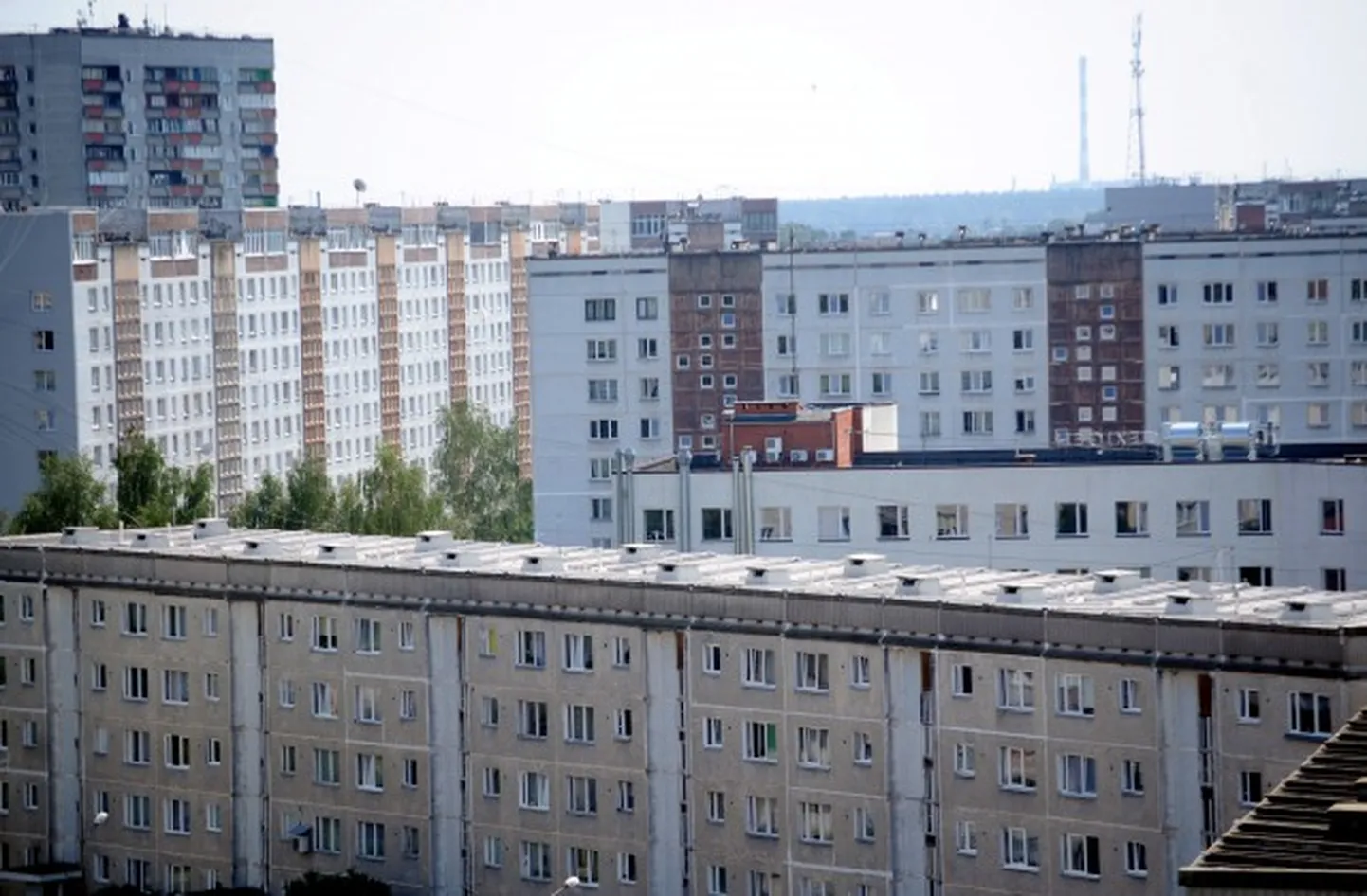 Фото статьи