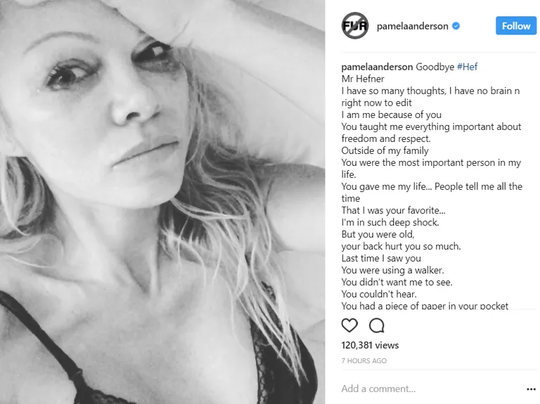 Pamela Anderson