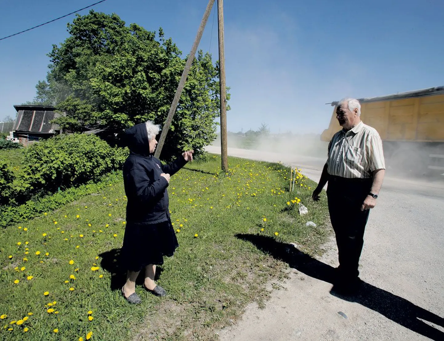Juhan ja Heldi Rostik on mures, et kui krundi piiril kasvavad suured vahtrad tee-ehituse pärast maha saetakse, ei kaitse miski nende koduõue müra ja tolmu eest.